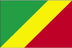Congolese or Congo flag