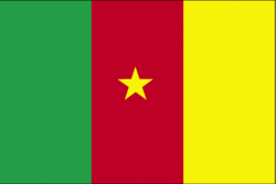 Cameroonian flag