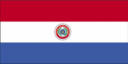 Paraguayan flag
