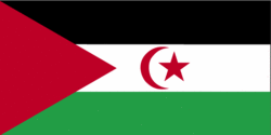 Sahrawi, Sahrawian, Sahraouian flag